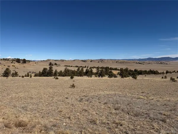 367 Arikara TRL, Hartsel, CO 80449