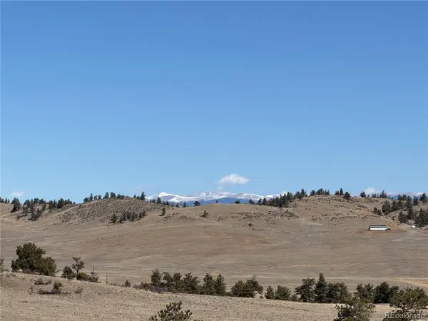 367 Arikara TRL, Hartsel, CO 80449