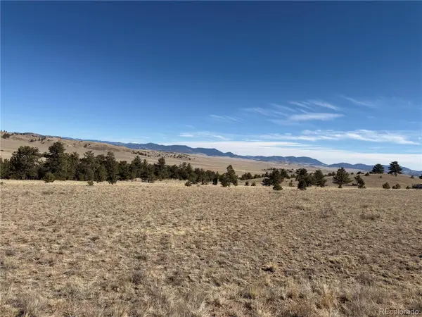 367 Arikara TRL, Hartsel, CO 80449