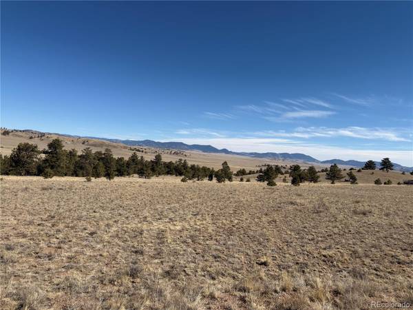 367 Arikara TRL, Hartsel, CO 80449