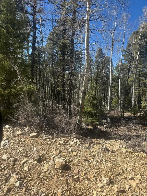 Lot 6742 Starkweather RD, San Luis, CO 81152