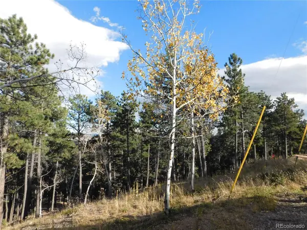 13910 Boulder LN, Larkspur, CO 80118