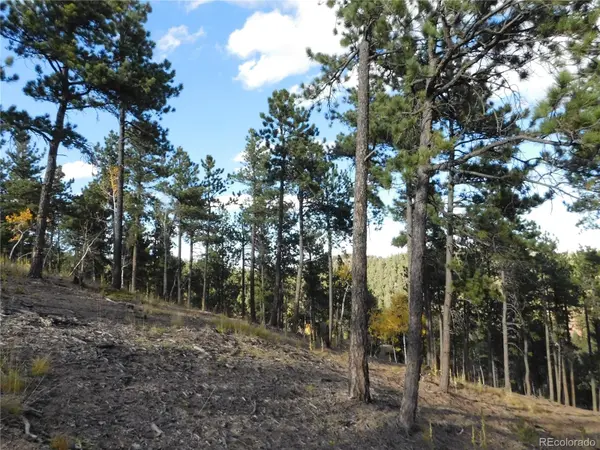 13910 Boulder LN, Larkspur, CO 80118