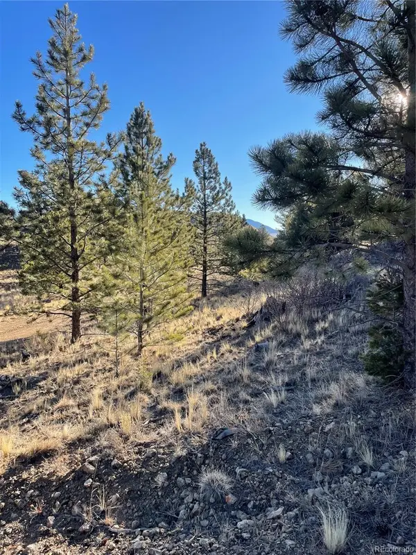 00 Tarryall RD, Hartsel, CO 80449
