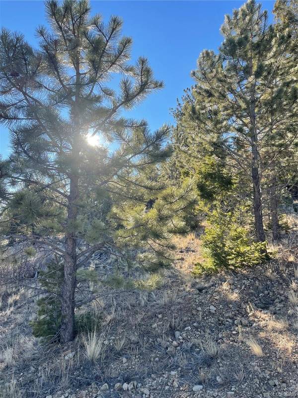 00 Tarryall RD, Hartsel, CO 80449