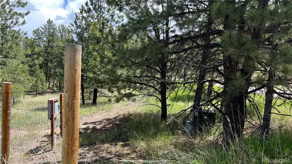 207 Little Bear DR, Westcliffe, CO 81252