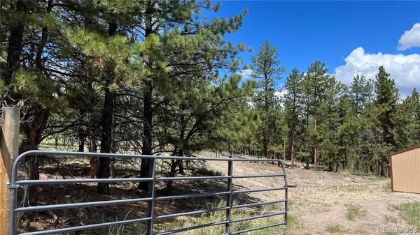 207 Little Bear DR, Westcliffe, CO 81252