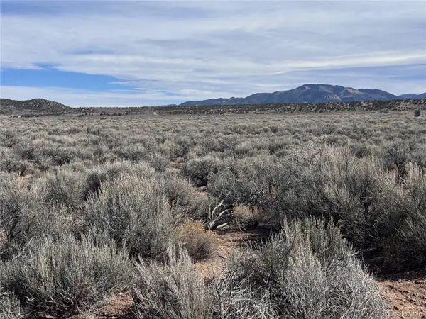 Lot 119 Budweiser RD, Fort Garland, CO 81133