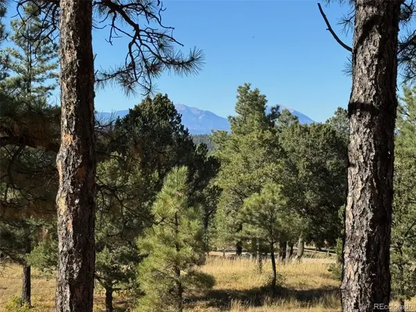33250 Fox Trail, Trinidad, CO 81082