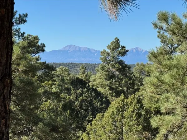 33250 Fox Trail, Trinidad, CO 81082