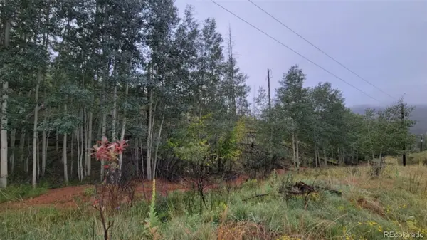 L1 B4 Columbine CIR, Woodland Park, CO 80863