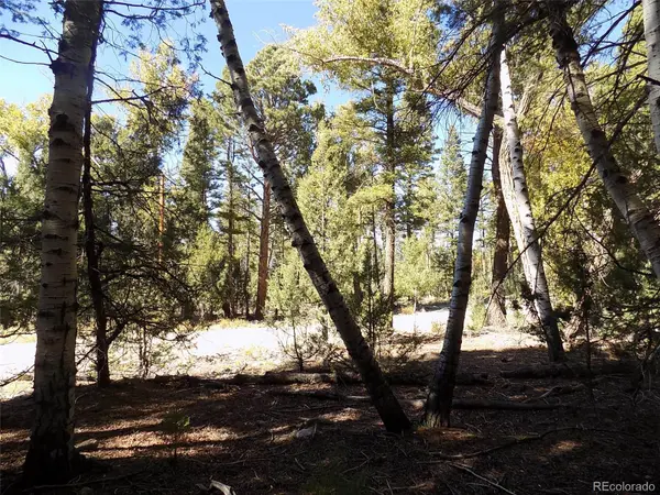 Zapata CT, Mosca, CO 81146