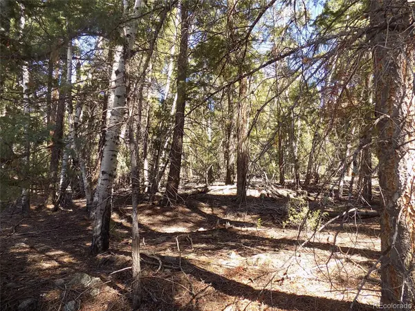 Zapata CT, Mosca, CO 81146