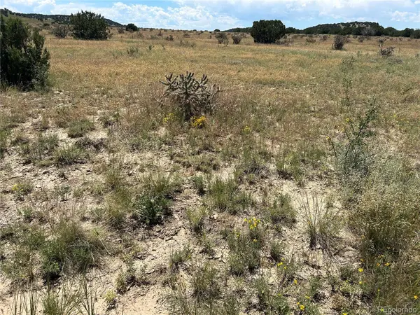 Lot 17 Longhorn Ranch, Model, CO 81059