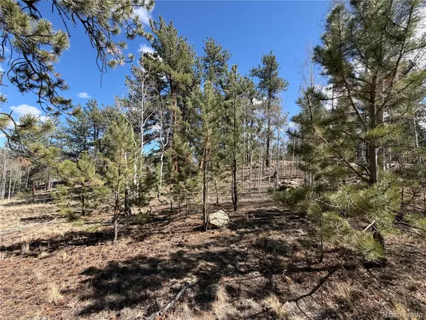 239 Shenandoah PATH, Hartsel, CO 80449