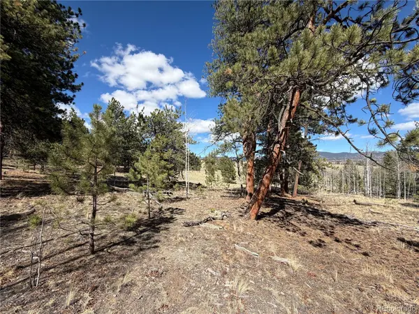 239 Shenandoah PATH, Hartsel, CO 80449