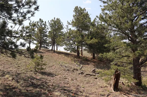 687 Corral RD, Hartsel, CO 80449
