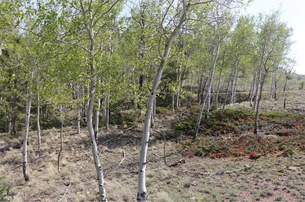 687 Corral RD, Hartsel, CO 80449