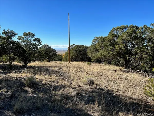 124 Indian Hill RD, Mosca, CO 81146