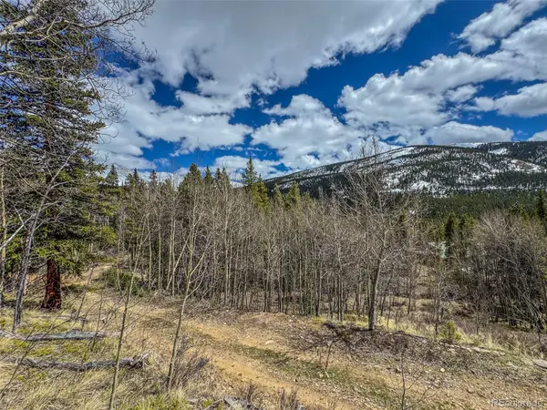 Buckeye Gulch Road, Leadville, CO 80461