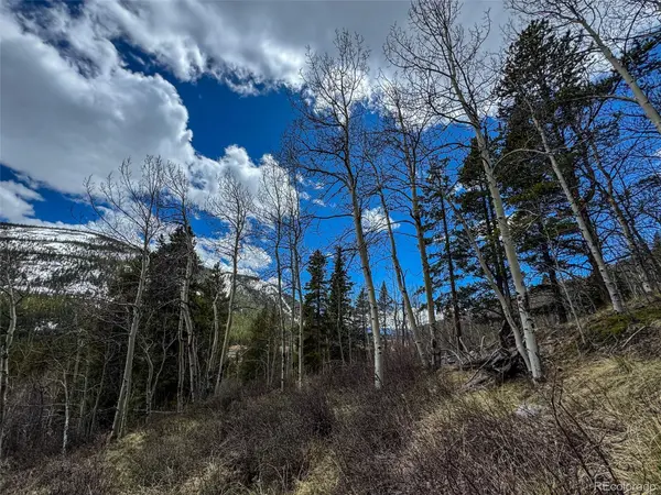 Buckeye Gulch Road, Leadville, CO 80461