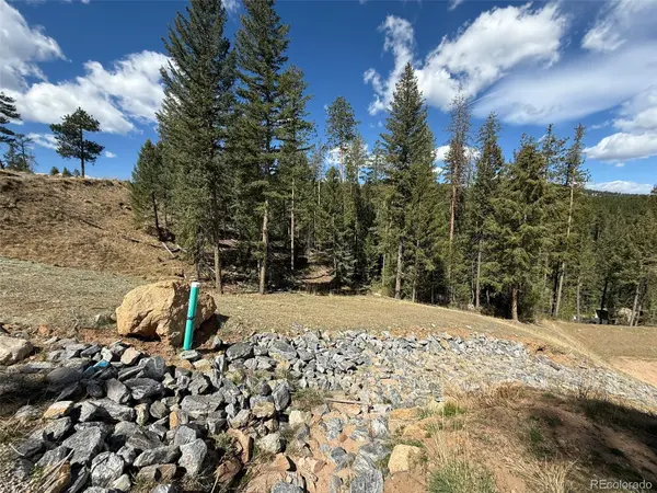6845 Lynx Lair RD, Evergreen, CO 80439