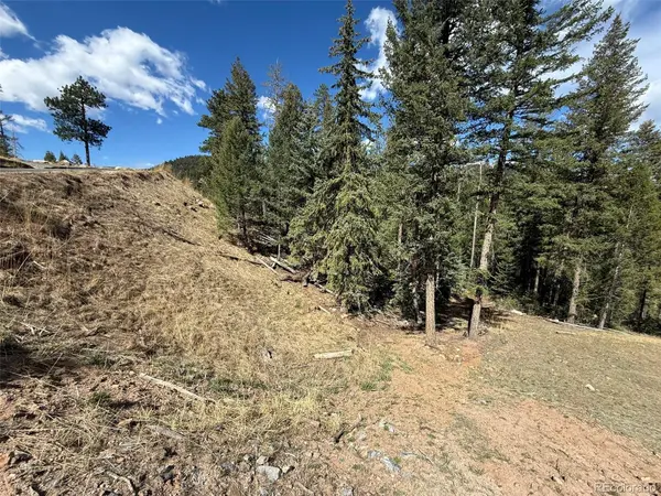 6845 Lynx Lair RD, Evergreen, CO 80439
