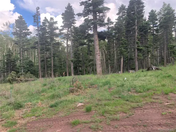 2956 Kemper LOOP, Fort Garland, CO 81133