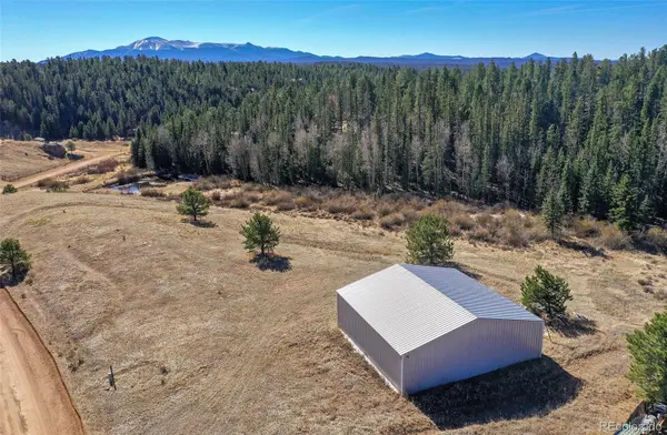 169 Saddleback Creek DR, Florissant, CO 80816