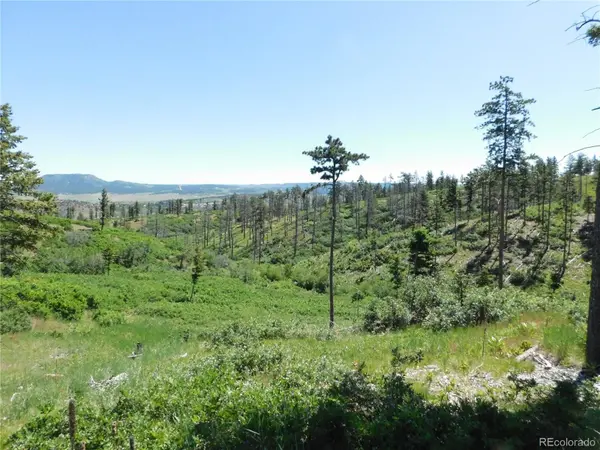 8249 Yuma CIR, Larkspur, CO 80118