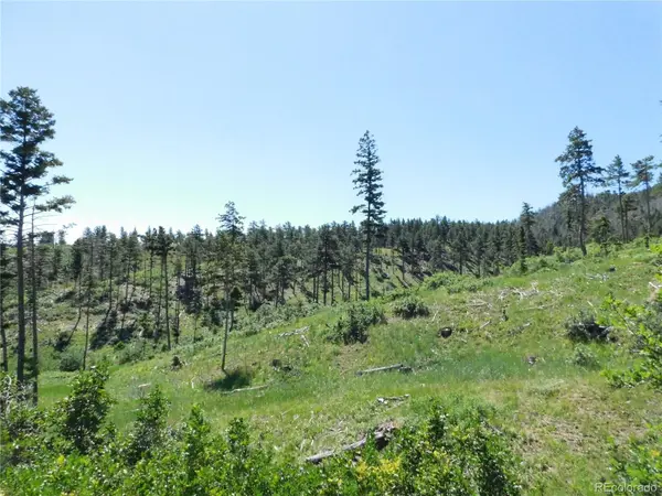 8249 Yuma CIR, Larkspur, CO 80118