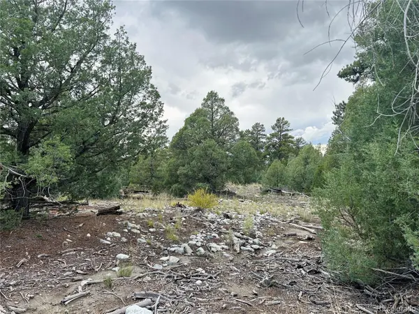 Pawnee PL, Mosca, CO 81146