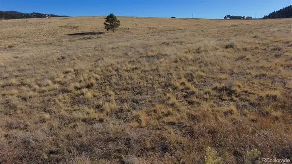 152 Wulsten WAY, Westcliffe, CO 81252