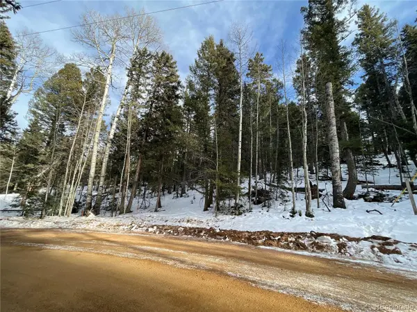 222 Banner TRL, Florissant, CO 80816