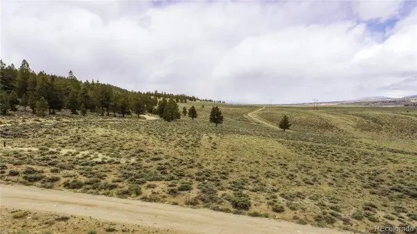 1111 George Safken RD, Twin Lakes, CO 81251