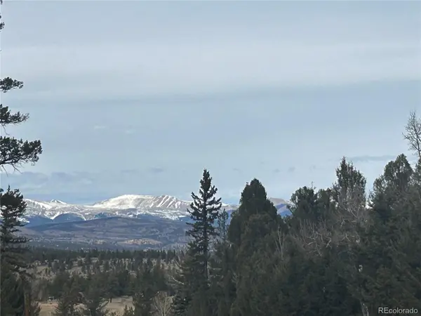 1421 Pitchfork RD, Hartsel, CO 80449