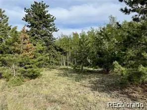 1599 Campfire RD, Hartsel, CO 80449