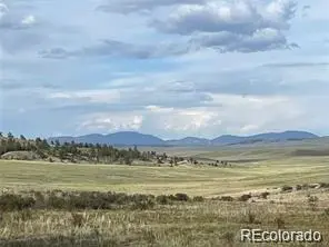 1599 Campfire RD, Hartsel, CO 80449