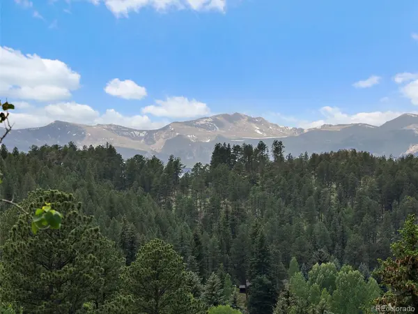 4252 S Meadow Brook LN, Evergreen, CO 80439