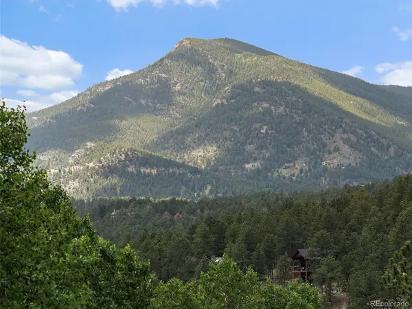 4252 S Meadow Brook LN, Evergreen, CO 80439