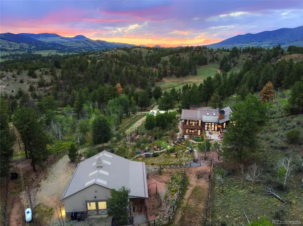 228 Bear DR, Guffey, CO 80820