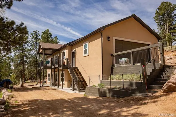 45 Valley CIR, Divide, CO 80814