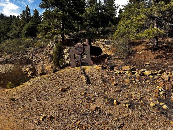 Lot 1 Eagle Mining Claim, Dumont, CO 80436