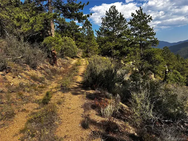 Lot 1 Eagle Mining Claim, Dumont, CO 80436