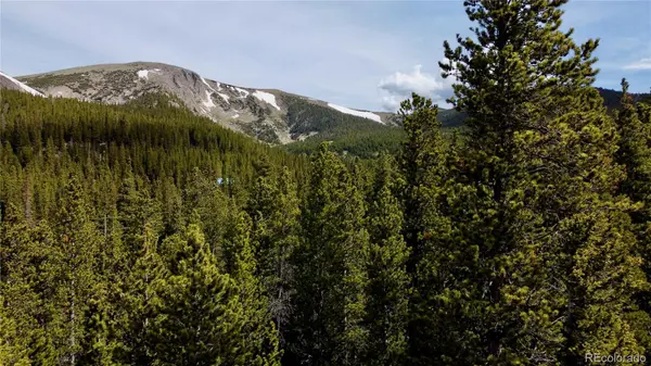000 Brook DR, Idaho Springs, CO 80452
