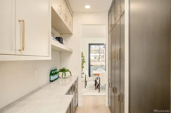 415 S Williams ST, Denver, CO 80209