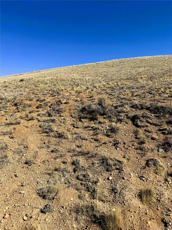 Sioux RD, Hartsel, CO 80449