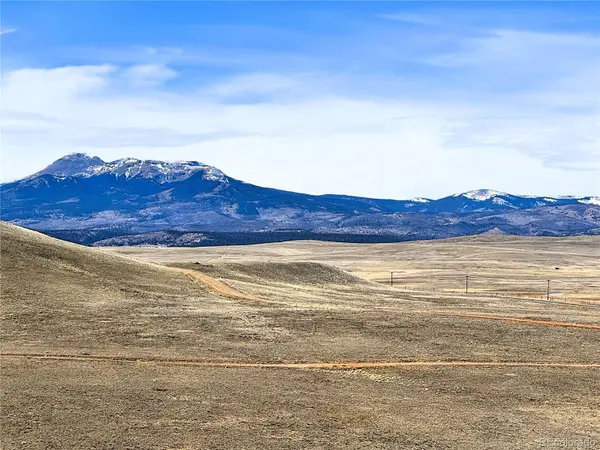 Sioux RD, Hartsel, CO 80449