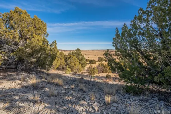 24 Hatchet Ranch, Colorado City, CO 81019