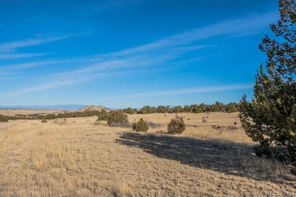 24 Hatchet Ranch, Colorado City, CO 81019